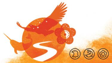 Orange Graphic with icons to represent Indigenous Peoples